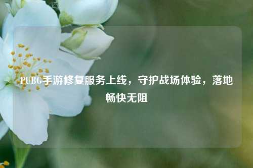 PUBG手游修复服务上线,守护战场体验,落地畅快无阻