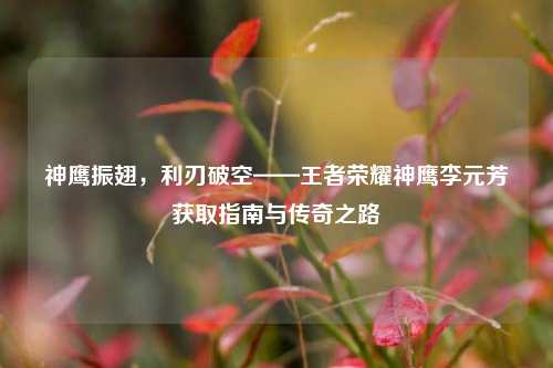 神鹰振翅，利刃破空——王者荣耀神鹰李元芳获取指南与传奇之路