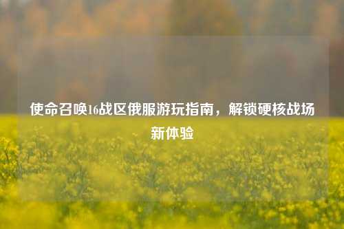 使命召唤16战区俄服游玩指南,解锁硬核战场新体验