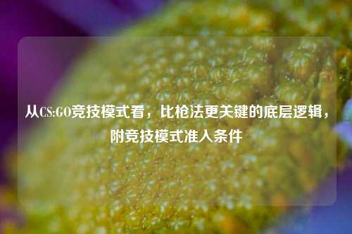 从CS:GO竞技模式看，比枪法更关键的底层逻辑，附竞技模式准入条件