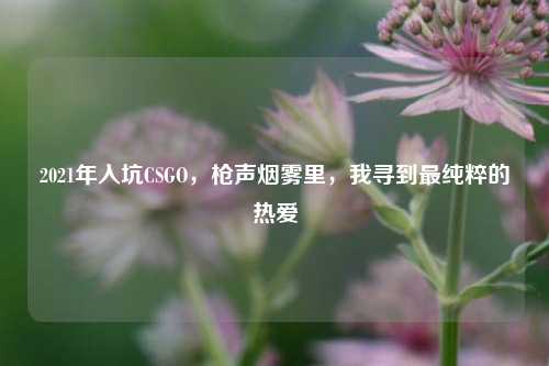 2021年入坑CSGO，枪声烟雾里，我寻到最纯粹的热爱