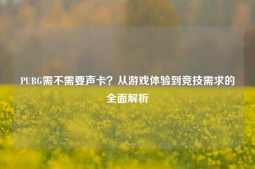 PUBG需不需要声卡?从游戏体验到竞技需求的全面解析