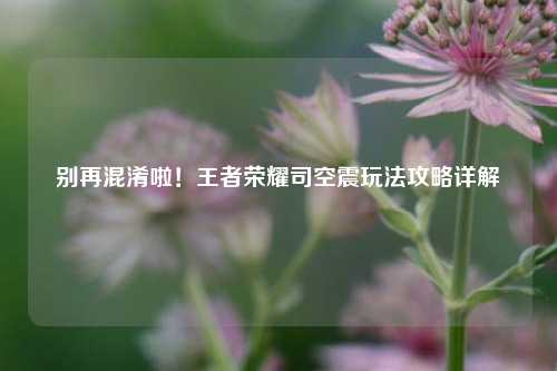 别再混淆啦!王者荣耀司空震玩法攻略详解
