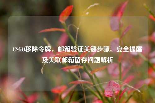 CSGO移除令牌,邮箱验证关键步骤、安全提醒及关联邮箱留存问题解析
