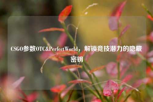 CSGO参数OTC&PerfectWorld,解锁竞技潜力的隐藏密钥