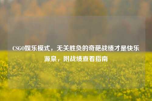 CSGO娱乐模式,无关胜负的奇葩战绩才是快乐源泉,附战绩查看指南