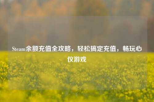 Steam余额充值全攻略,轻松搞定充值,畅玩心仪游戏