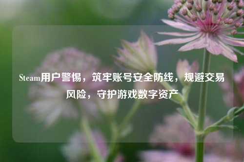 Steam用户警惕，筑牢账号安全防线，规避交易风险，守护游戏数字资产