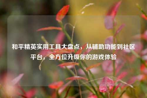 和平精英实用工具大盘点，从辅助功能到社区平台，全方位升级你的游戏体验