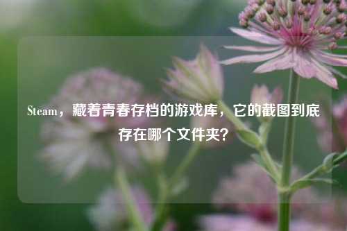 Steam,藏着青春存档的游戏库,它的截图到底存在哪个文件夹?