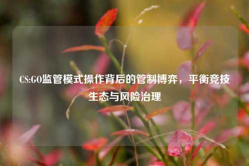 CS:GO监管模式操作背后的管制博弈,平衡竞技生态与风险治理