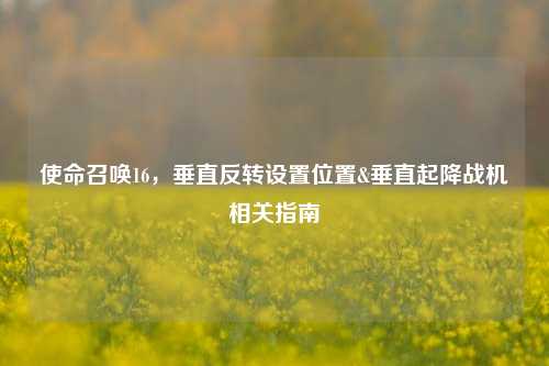 使命召唤16,垂直反转设置位置&垂直起降战机相关指南