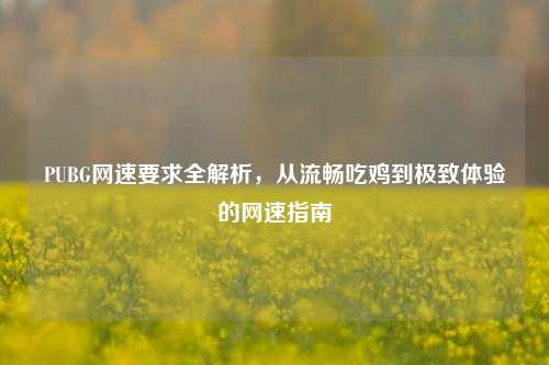 PUBG网速要求全解析,从流畅吃鸡到极致体验的网速指南
