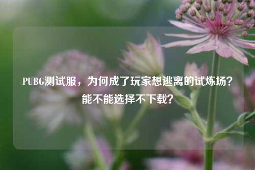 PUBG测试服，为何成了玩家想逃离的试炼场？能不能选择不下载？