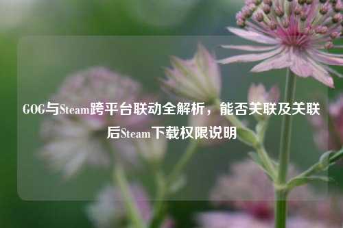 GOG与Steam跨平台联动全解析,能否关联及关联后Steam下载权限说明