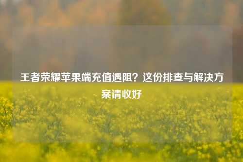 王者荣耀苹果端充值遇阻?这份排查与解决方案请收好