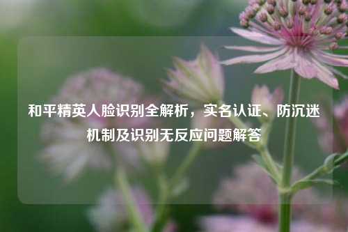 和平精英人脸识别全解析,实名认证、防沉迷机制及识别无反应问题解答