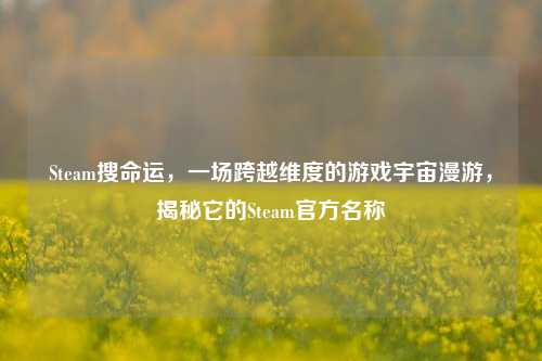 Steam搜命运，一场跨越维度的游戏宇宙漫游，揭秘它的Steam官方名称