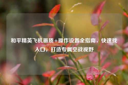 和平精英飞机画质+操作设置全指南,快速找入口,打造专属空战视野