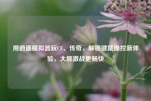 用逍遥模拟器玩CF、传奇，解锁键鼠操控新体验，大屏激战更畅快