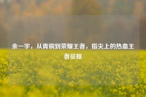 余一宇,从青铜到荣耀王者,指尖上的热血王者征程