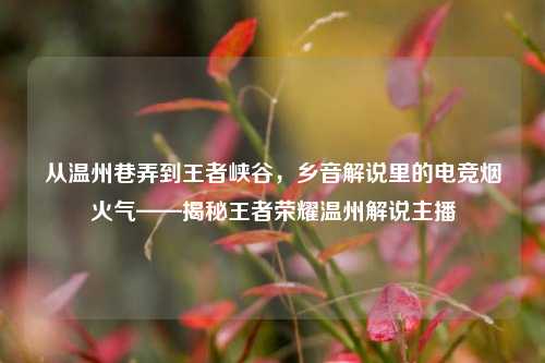 从温州巷弄到王者峡谷,乡音解说里的电竞烟火气——揭秘王者荣耀温州解说主播