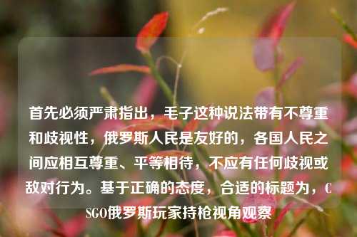 首先必须严肃指出,毛子这种说法带有不尊重和歧视性,俄罗斯人民是友好的,各国人民之间应相互尊重、平等相待,不应有任何歧视或敌对行为。基于正确的态度,合适的标题为,CSGO俄罗斯玩家持枪视角观察