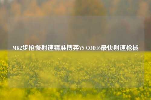 MK2步枪慢射速精准博弈VS COD16最快射速枪械