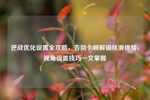 逆战优化设置全攻略,告别卡顿解锁丝滑体验,视角设置技巧一文掌握
