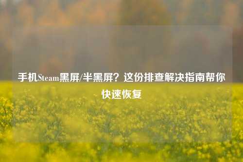 手机Steam黑屏/半黑屏?这份排查解决指南帮你快速恢复
