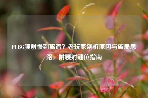 PUBG腰射慢到离谱？老玩家剖析原因与破局思路，附腰射键位指南