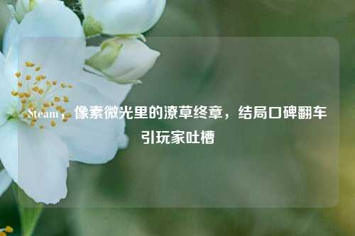 Steam,像素微光里的潦草终章,结局口碑翻车引玩家吐槽