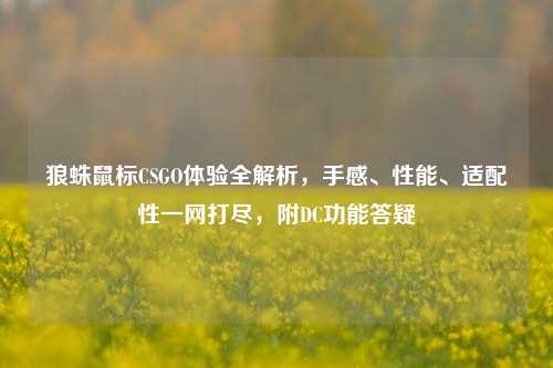 狼蛛鼠标CSGO体验全解析,手感、性能、适配性一网打尽,附DC功能答疑