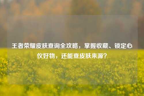 王者荣耀皮肤查询全攻略,掌握收藏、锁定心仪好物,还能查皮肤来源?