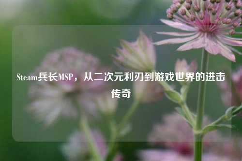 Steam兵长MSP,从二次元利刃到游戏世界的进击传奇
