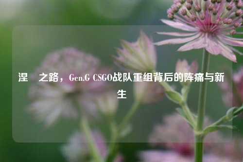 涅槃之路,Gen.G CSGO战队重组背后的阵痛与新生