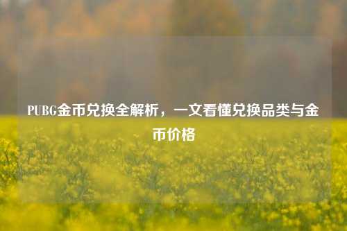 PUBG金币兑换全解析,一文看懂兑换品类与金币价格