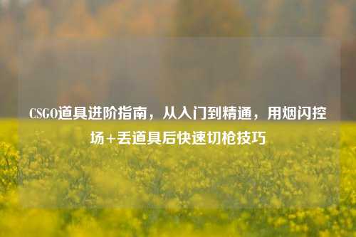CSGO道具进阶指南，从入门到精通，用烟闪控场+丢道具后快速切枪技巧