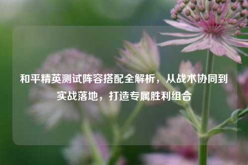 和平精英测试阵容搭配全解析,从战术协同到实战落地,打造专属胜利组合