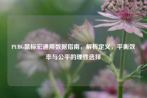 PUBG鼠标宏通用数据指南,解析定义,平衡效率与公平的理性选择