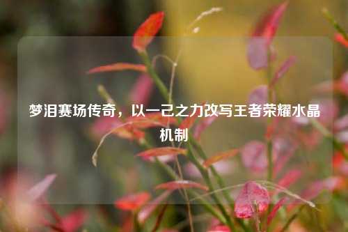 梦泪赛场传奇,以一己之力改写王者荣耀水晶机制