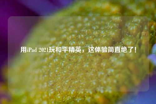 用iPad 2021玩和平精英，这体验简直绝了！