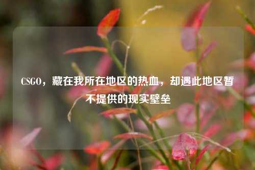 CSGO，藏在我所在地区的热血，却遇此地区暂不提供的现实壁垒