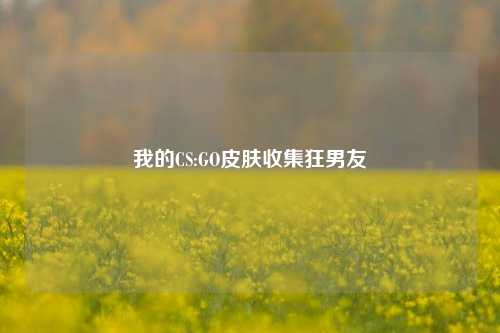我的CS:GO皮肤收集狂男友