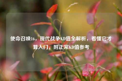 使命召唤16，现代战争KD值全解析，看懂它才算入门，附正常KD值参考