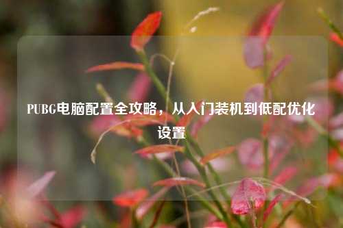 PUBG电脑配置全攻略,从入门装机到低配优化设置