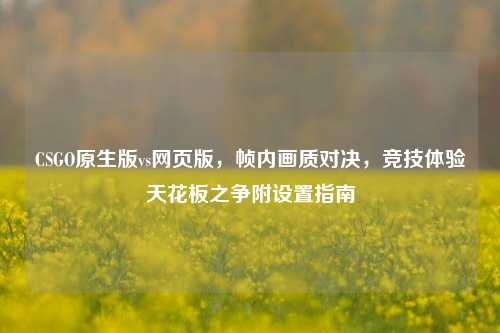 CSGO原生版vs网页版，帧内画质对决，竞技体验天花板之争附设置指南