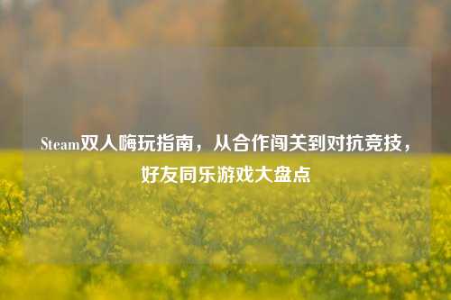Steam双人嗨玩指南，从合作闯关到对抗竞技，好友同乐游戏大盘点
