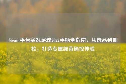 Steam平台实况足球2022手柄全指南，从选品到调校，打造专属绿茵操控体验