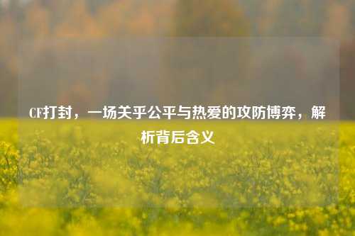 CF打封，一场关乎公平与热爱的攻防博弈，解析背后含义